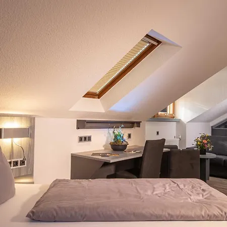 Parkhotel Πλάουεν