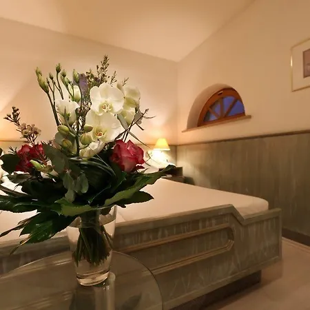 Parkhotel Szálloda Plauen